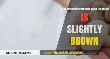 Slightly Brown Inside: Is This Mushroom Still Safe to Eat?