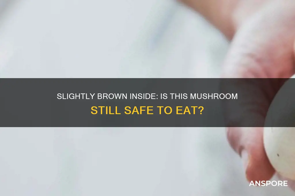 is the mushroom unedible when the inside is slightly brown