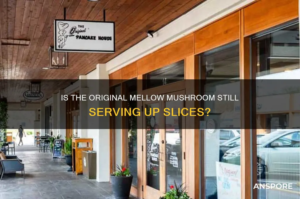 is the original mellow mushroom still open
