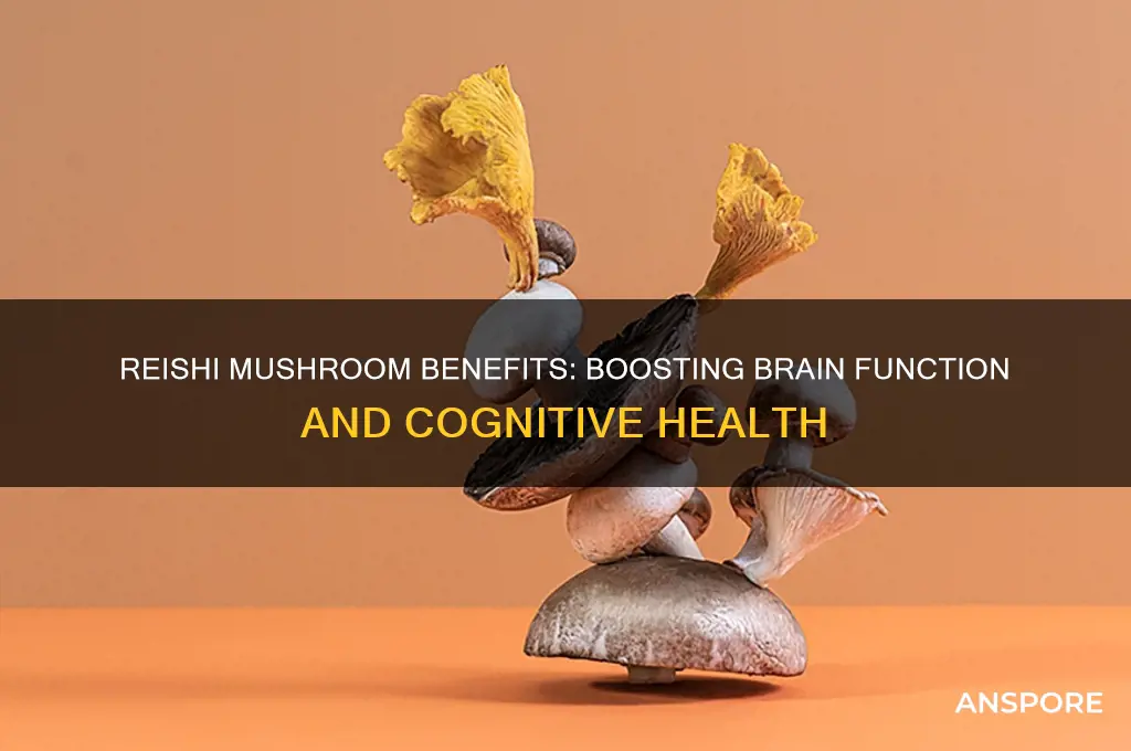 is the reishi mushroom good for brain function