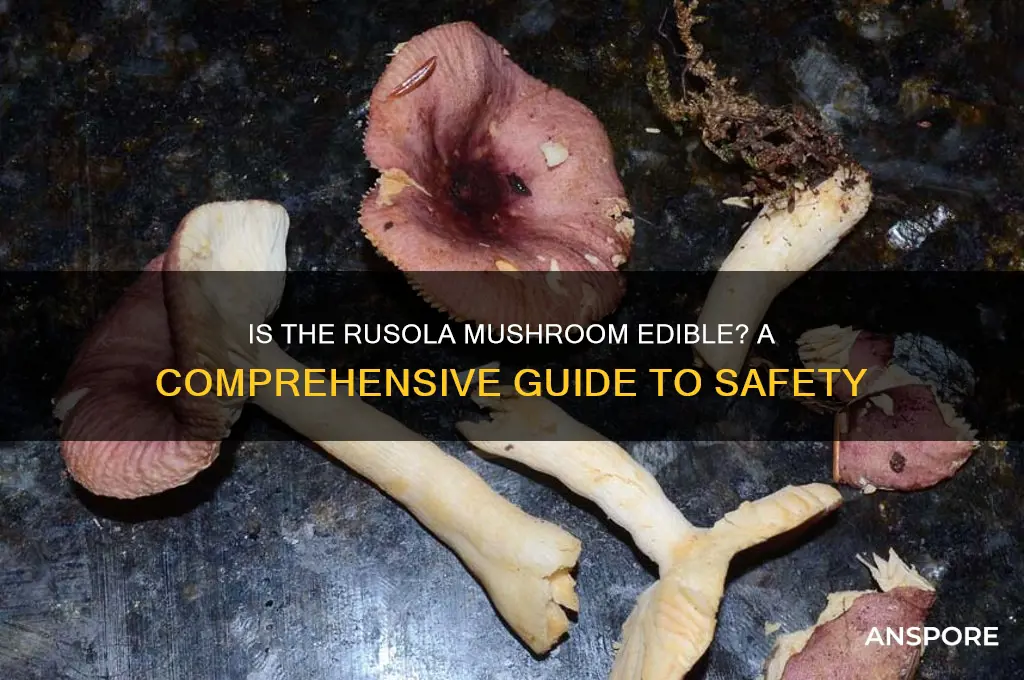 is the rusola mushroom edible