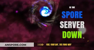 Is the Spore Server Down? Troubleshooting Tips and Status Updates
