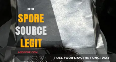 Is Spore Source Legit? Uncovering the Truth Behind the Platform