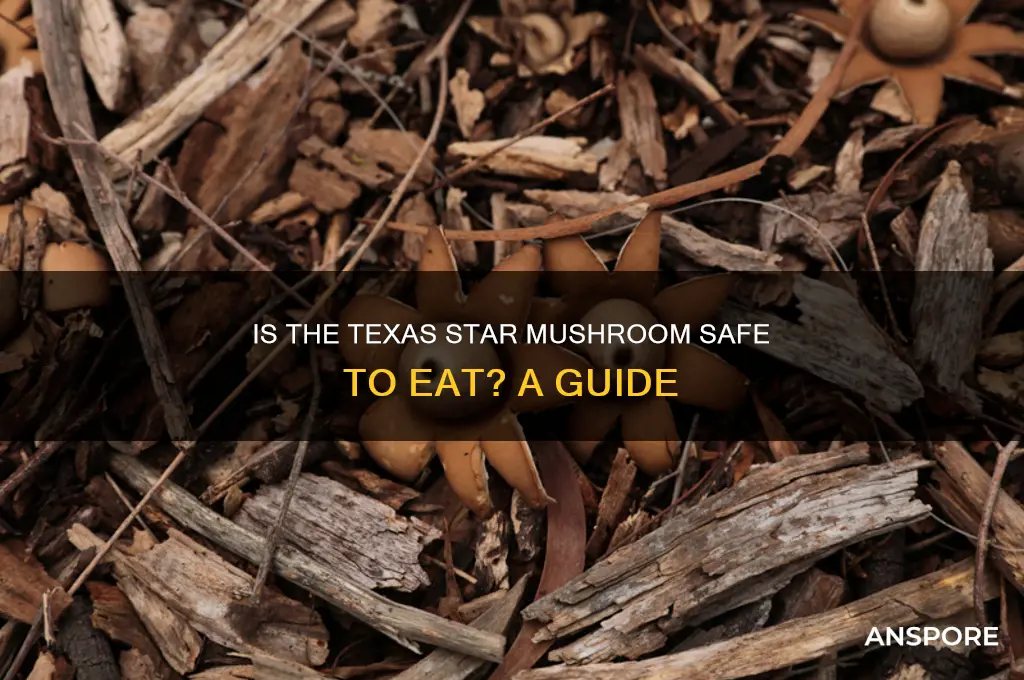 is the texas star mushroom edible