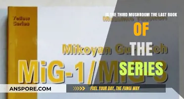 The Third Mushroom: Final Chapter or Series Continuation?