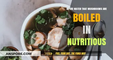 Mushroom Broth Benefits: Unlocking Nutrients in Boiled Mushroom Water