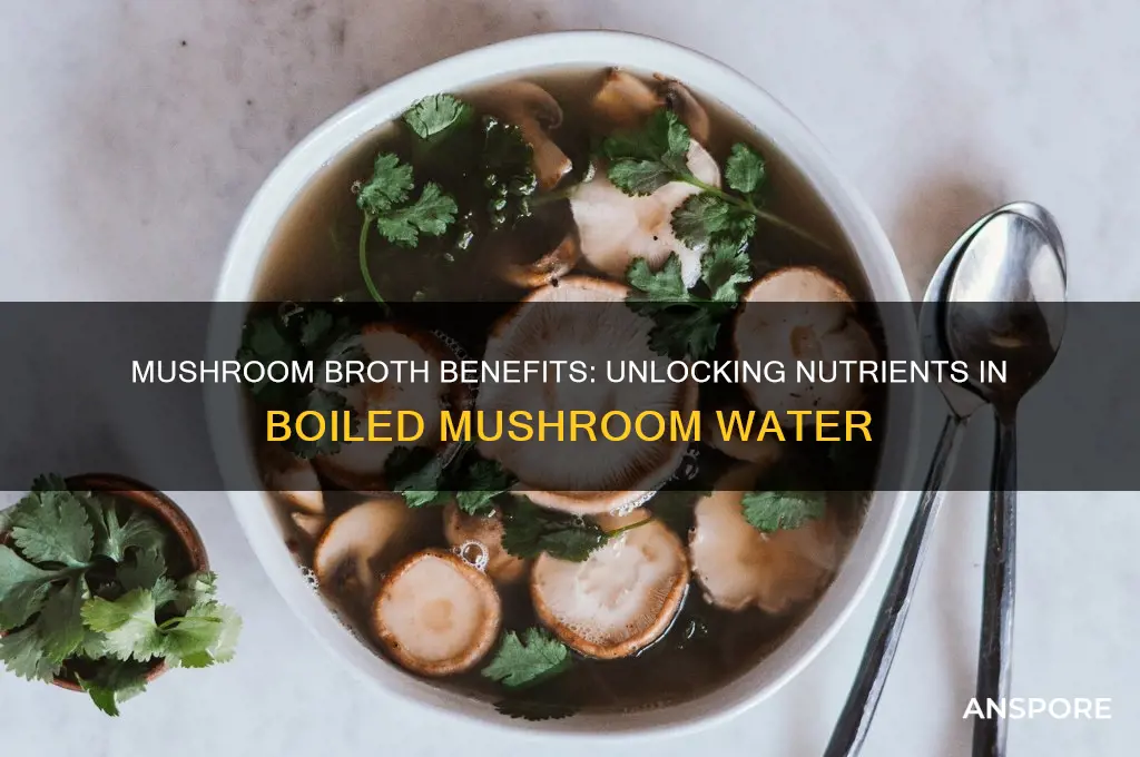 is the water that mushrooms are boiled in nutritious