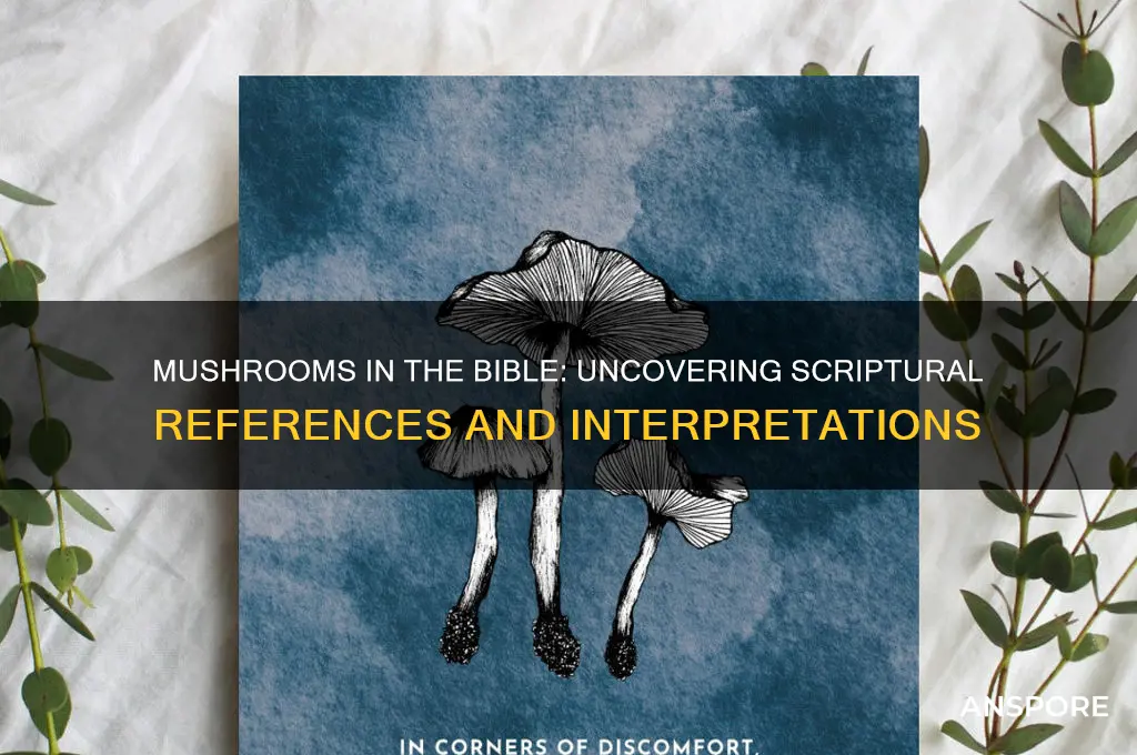 is the word mushroom in the bible
