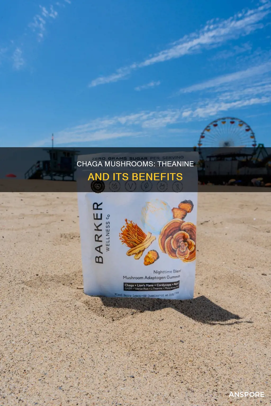 is theanine in chaga mushrooms