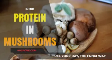 Mushrooms: A Surprising Source of Protein?