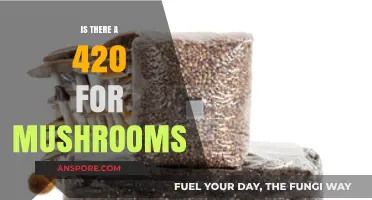 Exploring Psychedelic Culture: Is There a 420 Equivalent for Mushrooms?