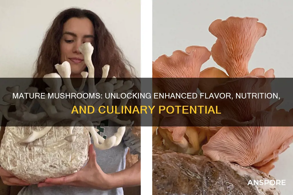 is there a benefit to letting your mushrooms mature