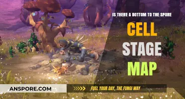 Exploring the Depths: Does the Spore Cell Stage Map End?