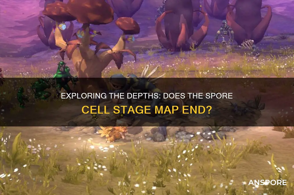 is there a bottom to the spore cell stage map
