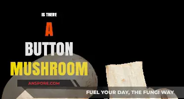 Button Mushrooms: Do They Exist?
