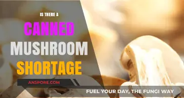 Canned Mushroom Shortage: Causes, Impact, and What Consumers Need to Know