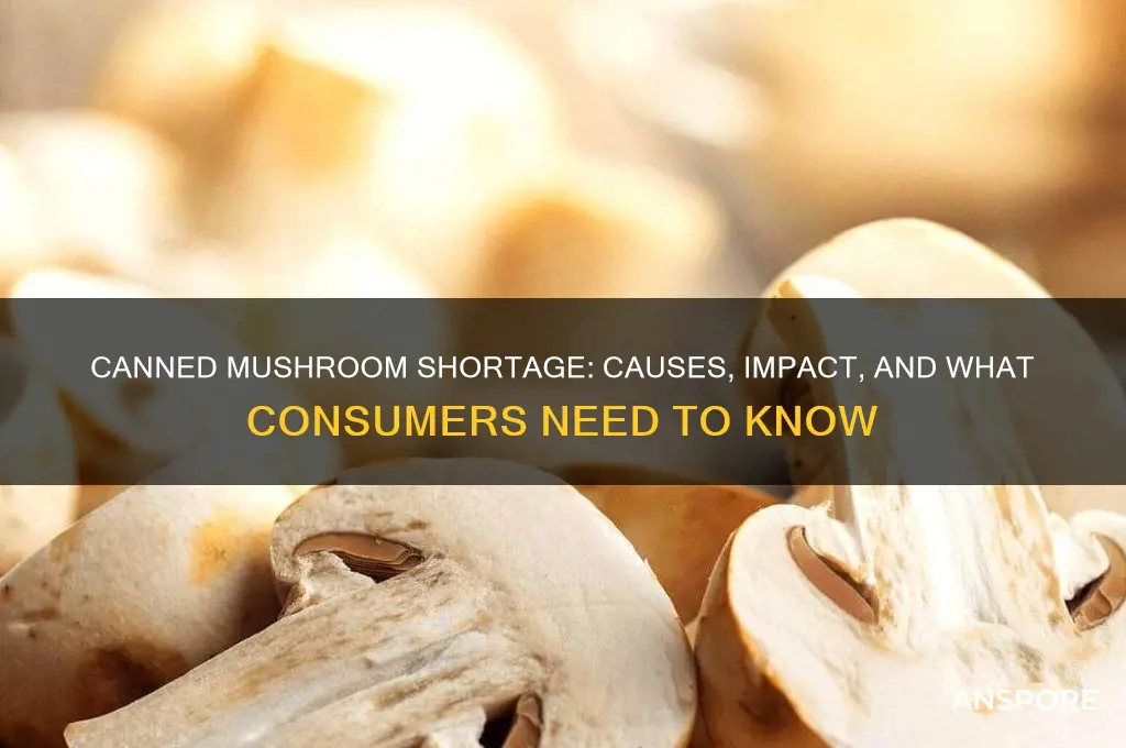 is there a canned mushroom shortage