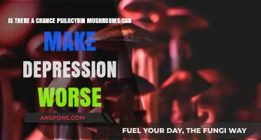 Psilocybin Mushrooms and Depression: Potential Risks and Worsening Symptoms