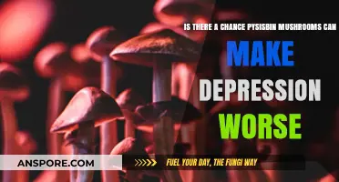 Psilocybin Mushrooms and Depression: Potential Risks of Worsening Symptoms
