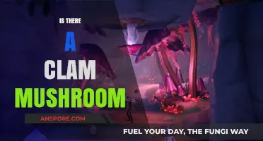 Clam Mushroom: A Real Treat or Myth?