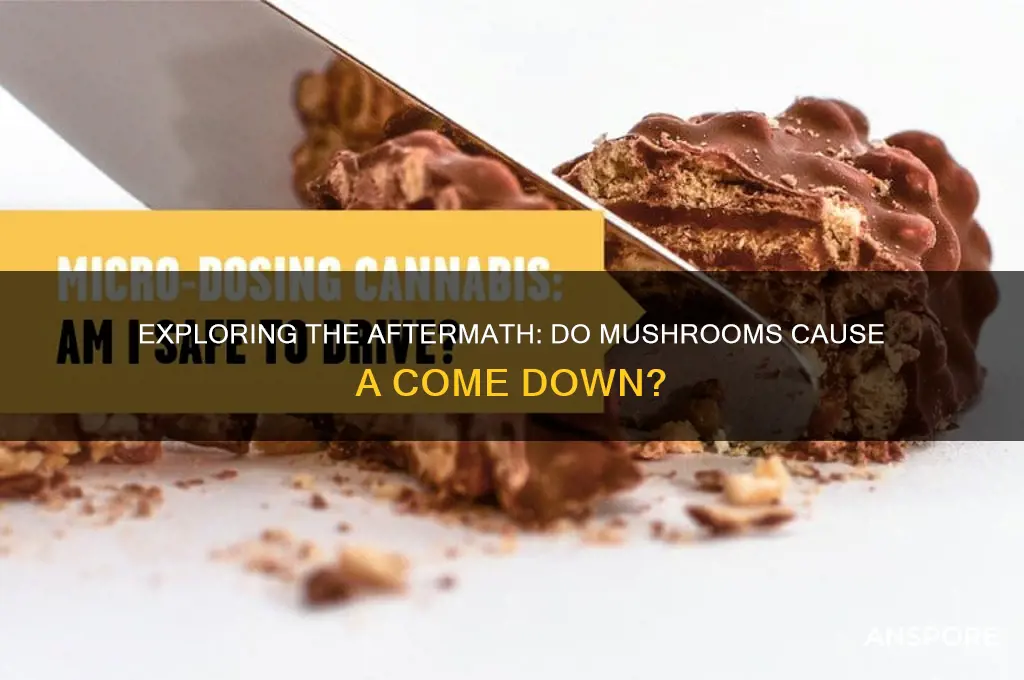 is there a come down from mushrooms
