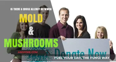 Mold and Mushrooms: Uncovering the Cross-Allergy Connection