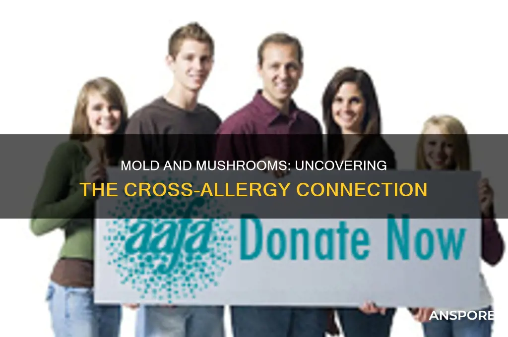 is there a cross allergy betwwen mold & mushrooms
