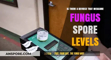 Detecting Fungus Spores: Devices to Measure Airborne Levels