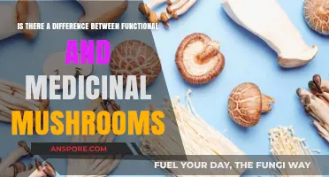 Functional vs. Medicinal Mushrooms: Uncovering Their Unique Benefits and Uses