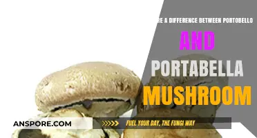 Portobello vs. Portabella: Unraveling the Mushroom Name Mystery