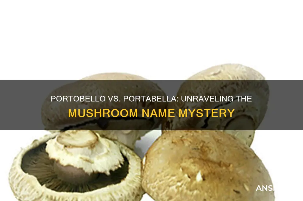is there a difference between portobello and portabella mushrooms