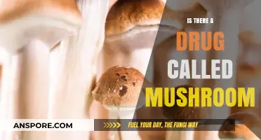 Exploring the Truth: Is There a Drug Called Mushroom?