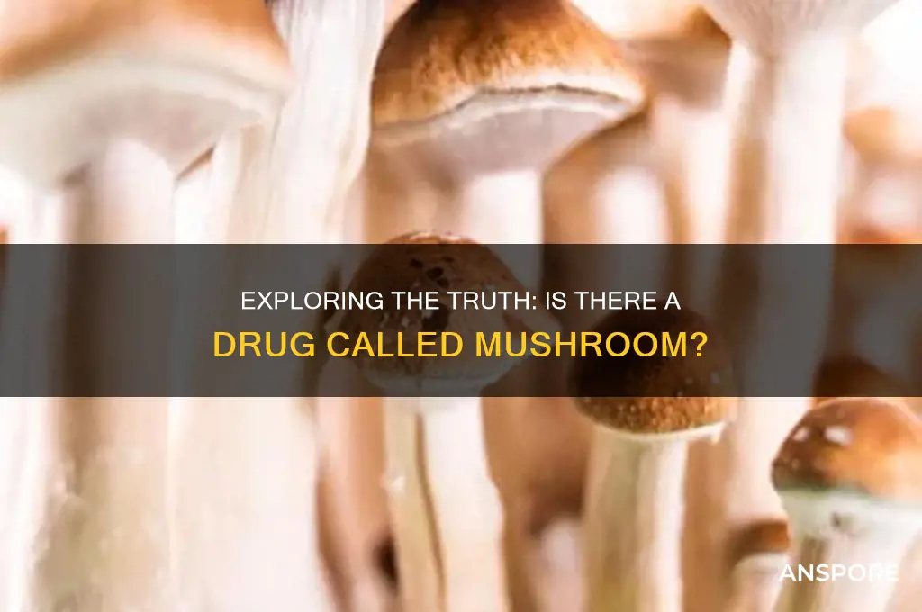 is there a drug called mushroom