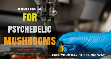 Do Psychedelic Mushrooms Show Up in Drug Tests?