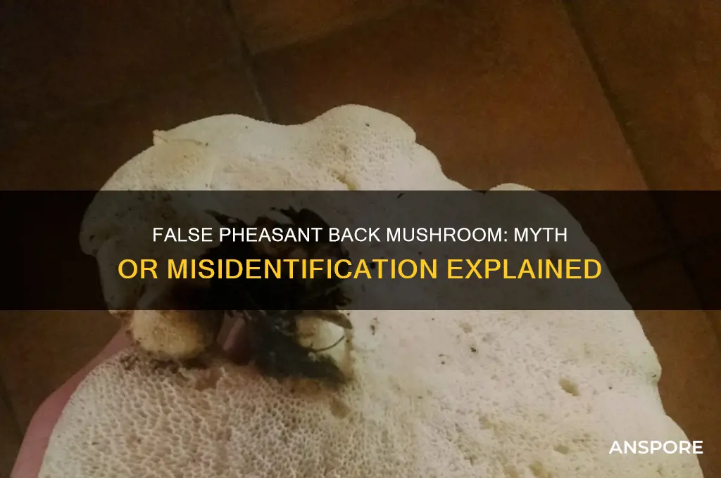 is there a false pheasant back mushroom