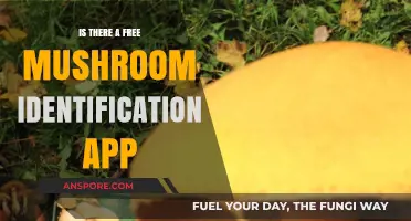 Discover Free Mushroom Identification Apps: Safely Identify Fungi on the Go