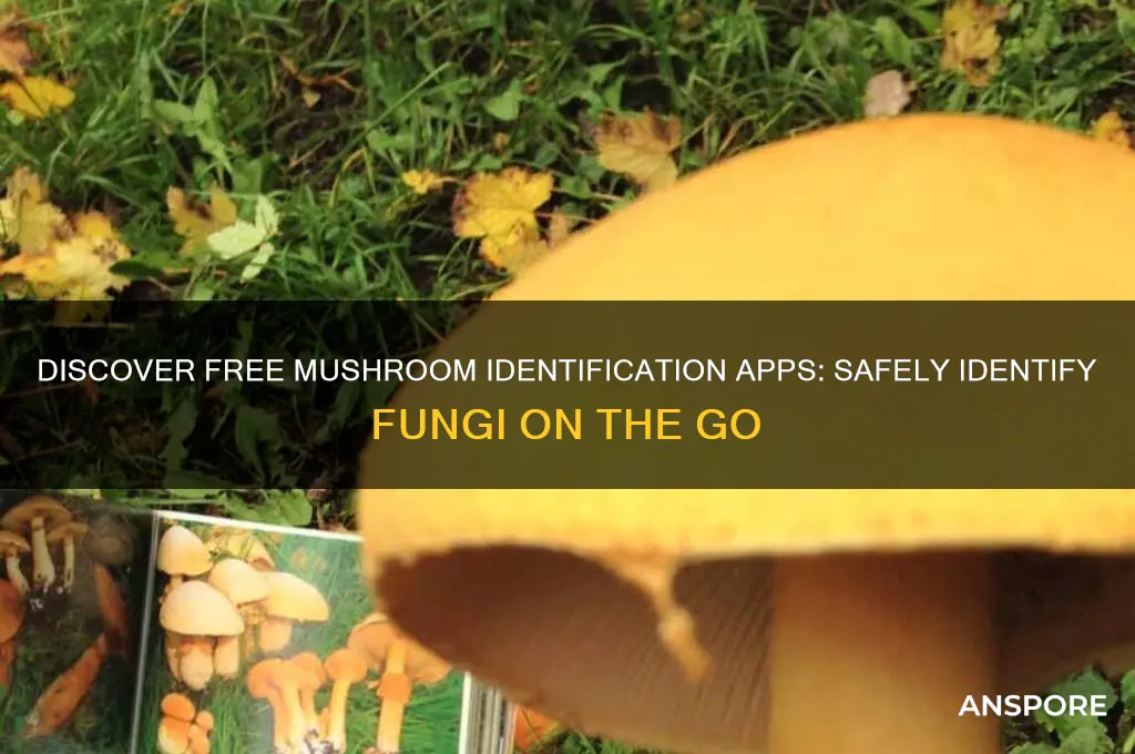 is there a free mushroom identification app