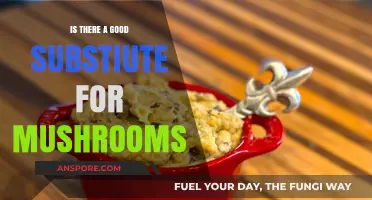 Exploring Tasty Mushroom Alternatives: Best Substitutes for Every Recipe