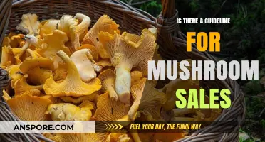 Mushroom Sales Guidelines: Essential Rules for Vendors and Buyers