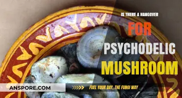 Do Psychedelic Mushrooms Cause Hangovers? Exploring Post-Trip Effects