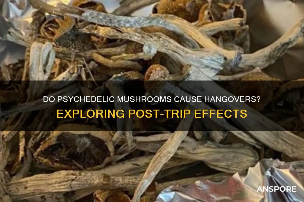 is there a hangover for psychodelic mushrooms