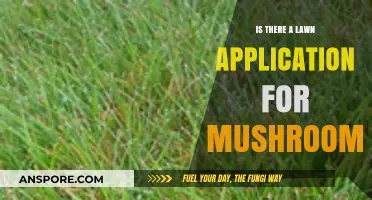 Mushrooms in Your Lawn: Benefits, Applications, and Safe Practices