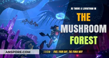Exploring the Mushroom Forest: Unveiling the Leviathan Mystery
