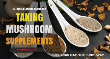 Mushroom Supplements: Understanding the Loading Phase for Optimal Benefits