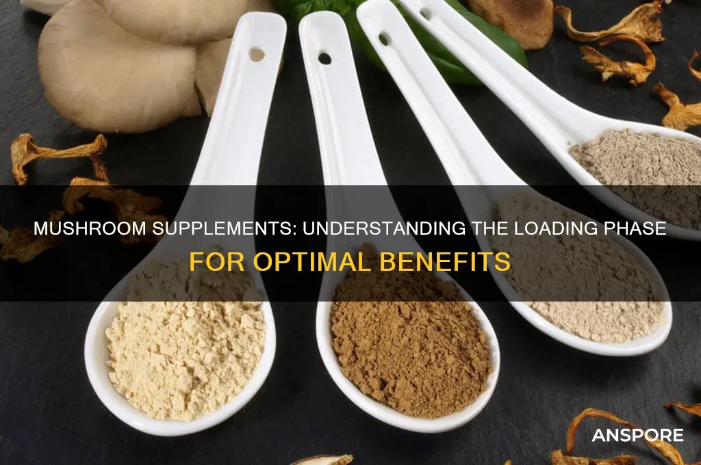 is there a loading period for taking mushroom supplements