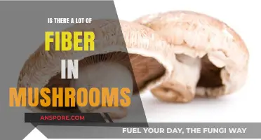 Mushrooms and Fiber: Unveiling the Surprising Nutritional Benefits