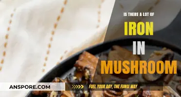 Mushrooms and Iron: Unveiling the Surprising Mineral Content of Fungi