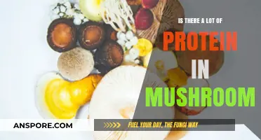Mushrooms: Unveiling Their Surprising Protein Content and Nutritional Benefits