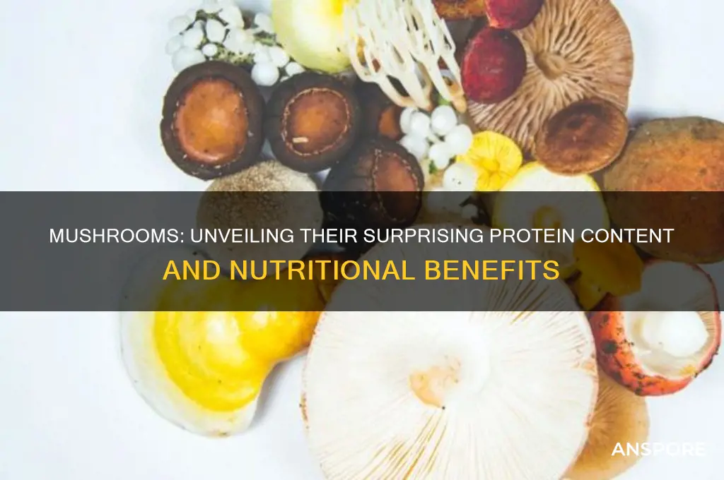 is there a lot of protein in mushrooms