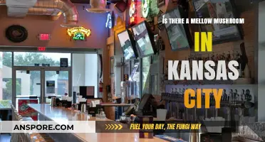 Discovering Mellow Mushroom: Kansas City's Pizza Scene Explored